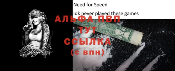 гашик Арсеньев