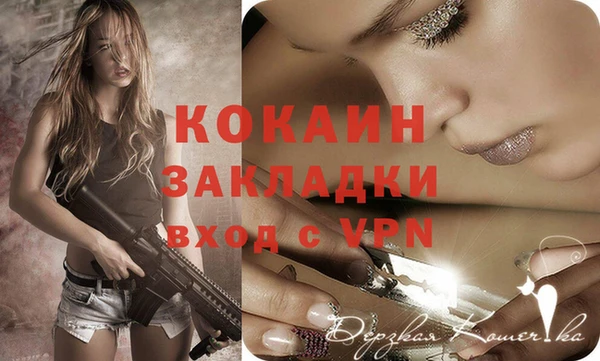 гашик Арсеньев