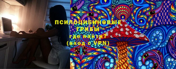 гашик Арсеньев