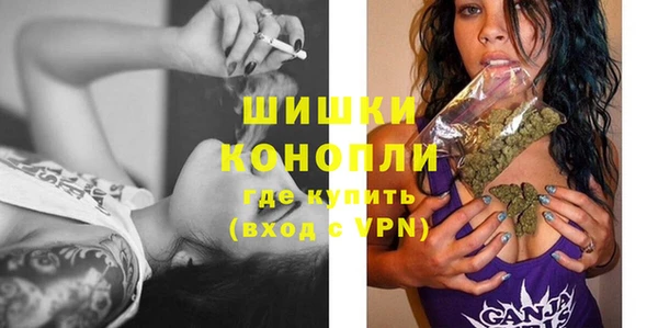 гашик Арсеньев